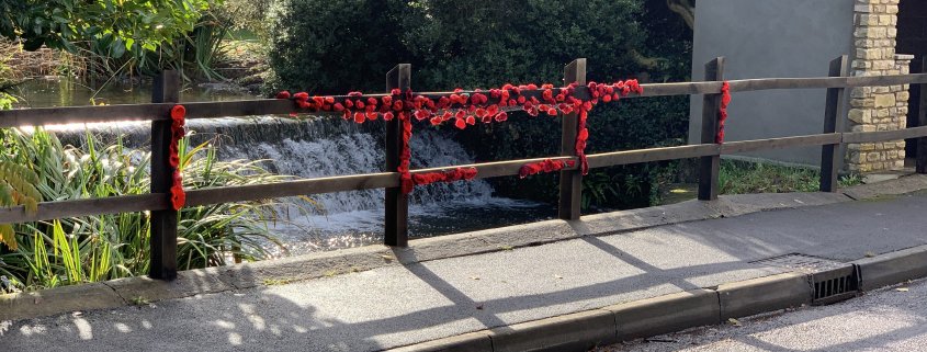 Remembrance poppies on the bridge